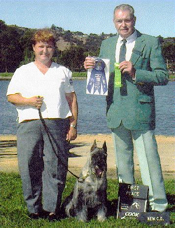 {September 15, 2000 - third leg and NEW CD 193.  First place at the Standard Schnauzer Club of Northern California Regional Specialty!}