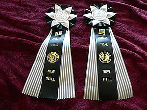 {New Title Ribbons}