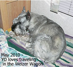 { May 2010 - YD loves the WW}
