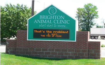 {Brighton Animal Clinic.}