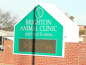 {Brighton Animal Clinic.}