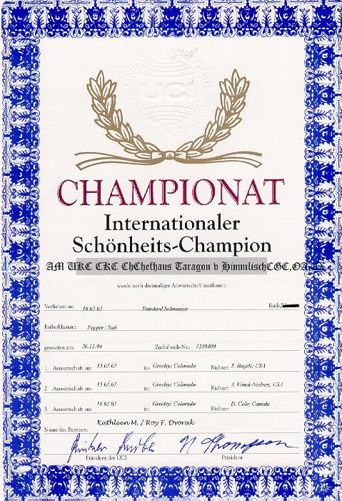 international champ