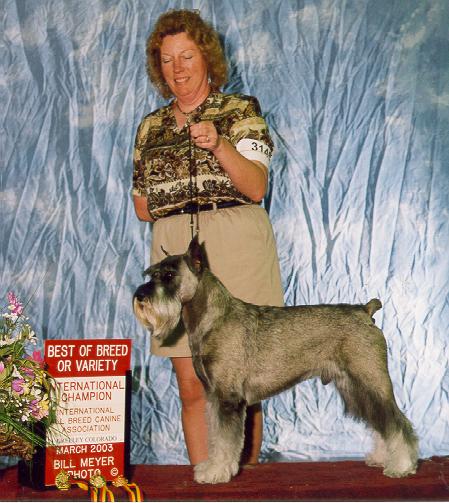 best of breed